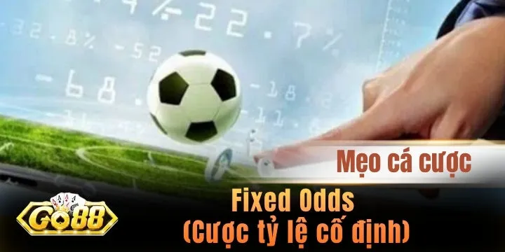 Fixed Odds (Cược tỷ lệ cố định) - Định nghĩa và kiến thức 