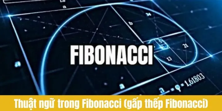 Điểm danh các thuật ngữ trong Fibonacci (gấp thếp Fibonacci)